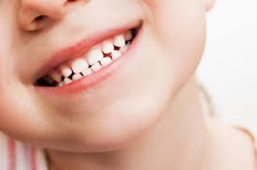Шүд ургаж буй үед зажлах процесс явагдахгүй байх нь муу нөлөөтэй